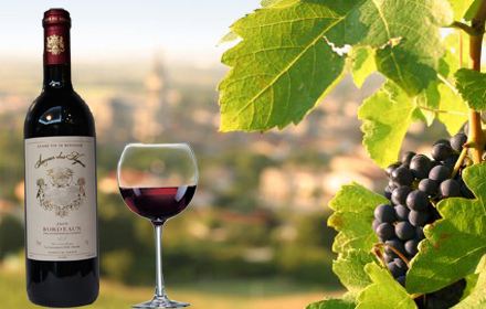 进口葡萄酒代理生意该如何做？