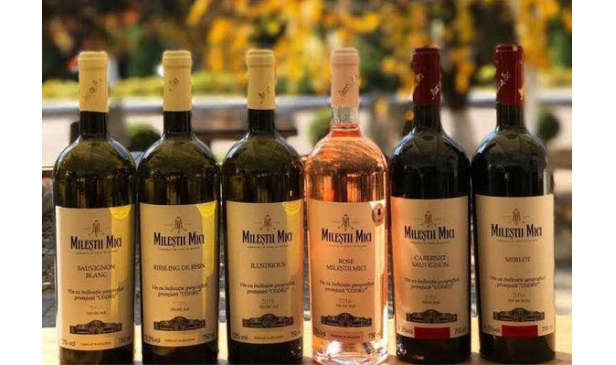 进口摩尔多瓦红酒怎么代理批发?