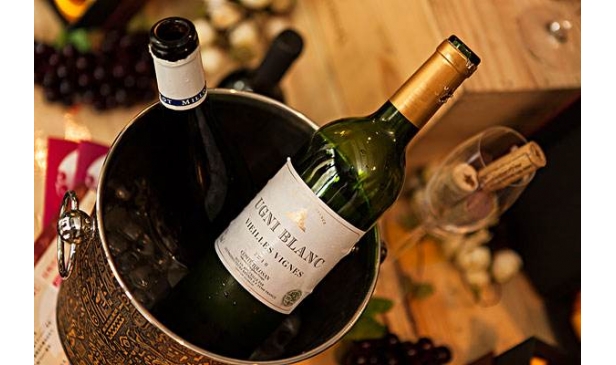 葡萄酒十大品牌赏析最常见的葡萄酒品种