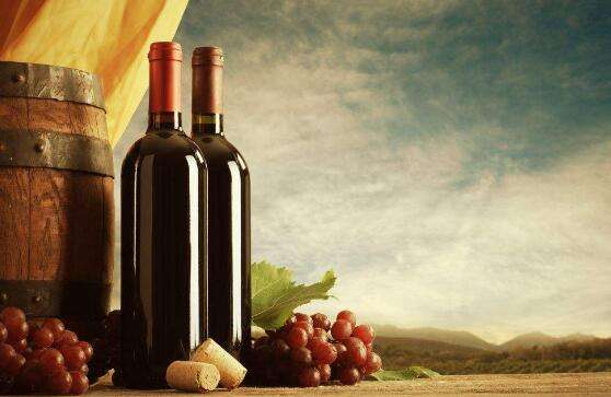 专业进口葡萄酒代理加盟怎么做？