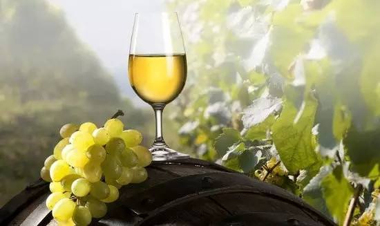 原瓶进口葡萄酒店批发代理好不好做?