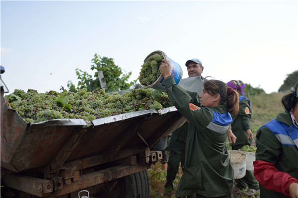进口葡萄酒为什么要贴中文背标？