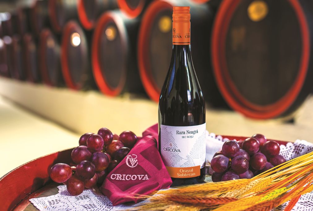 在安徽宣城开什么样的葡萄酒加盟店好?