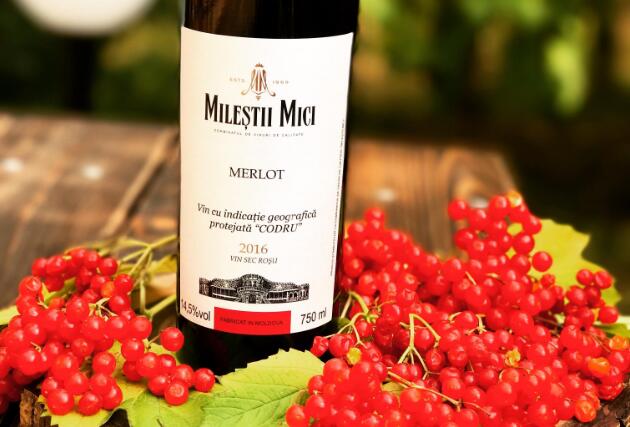 开葡萄酒加盟店在安徽黄山有生意吗?