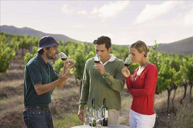 葡萄酒生意加盟哪个品牌好？