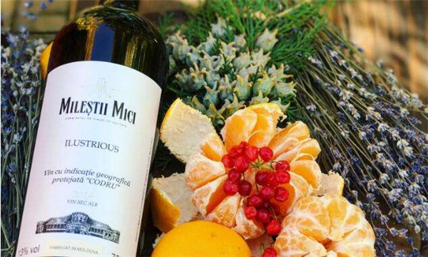 在邵阳做红酒加盟哪个品牌好?