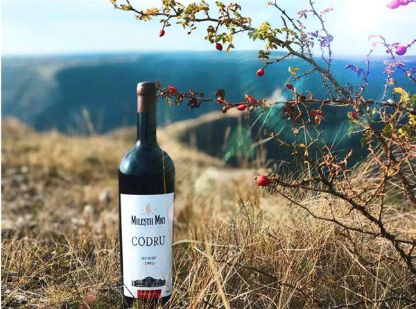 在邵阳做红酒加盟哪个品牌好?