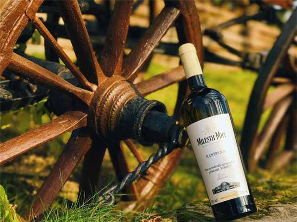 在邵阳加盟哪个红酒品牌好?