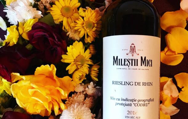 怎么做摩尔多瓦葡萄酒批发生意好？