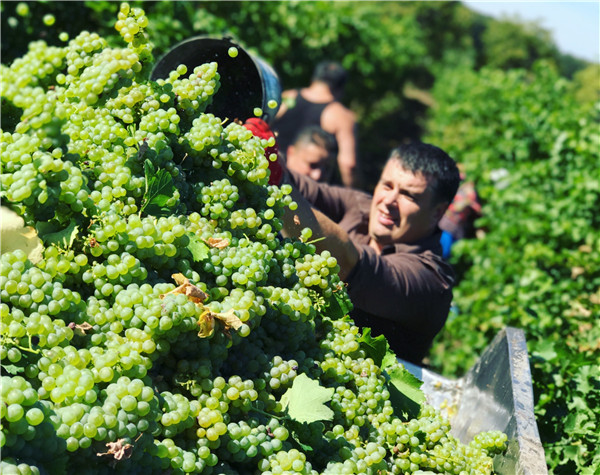 在怀化开红酒加盟店成本要多少？