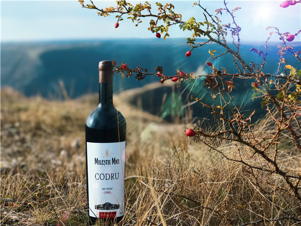 如何在汕尾开一家红酒加盟店？