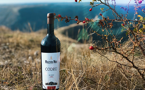 杭州葡萄酒店生意如今市场上有没有发展？