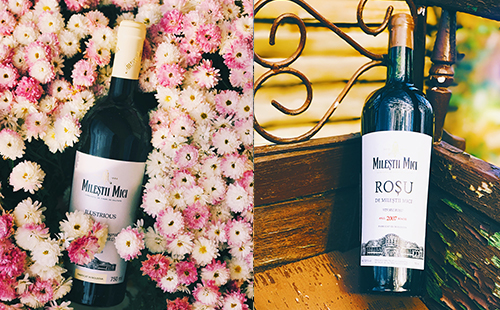 杭州葡萄酒店生意如今市场上有没有发展？