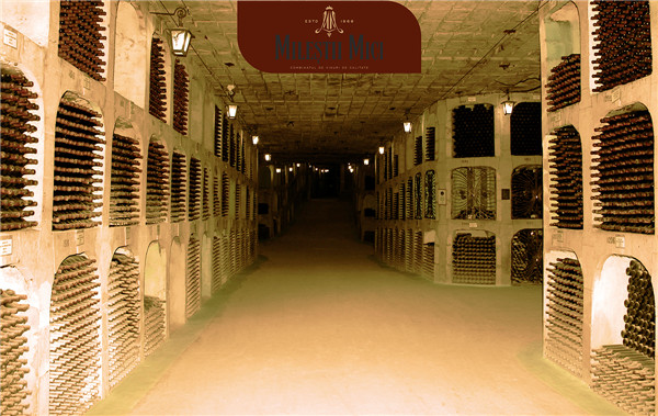 在安阳开红酒加盟店要怎么经营？