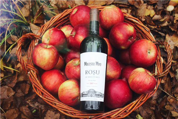 沈阳进口红酒代理生意好不好做？