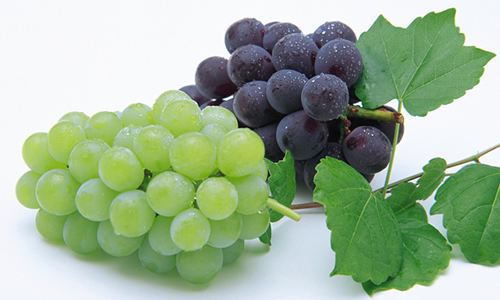 世界十大葡萄酒品牌如何分类?