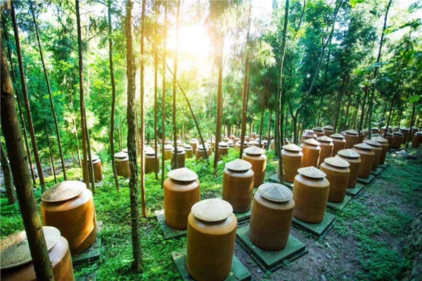 白酒酿造工艺的生态要素——土壤！