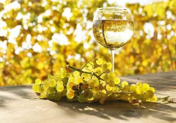 哪些新世界葡萄酒庄园的长相思品质最佳?