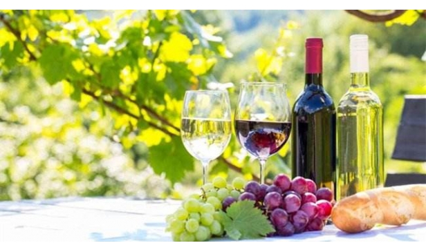 你对世界十大酿酒葡萄酒品种了解多少？