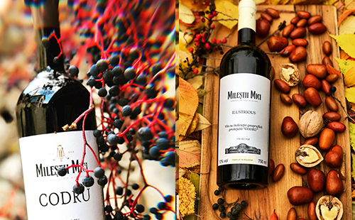 哈尔滨红酒代理可以选什么样的品牌?