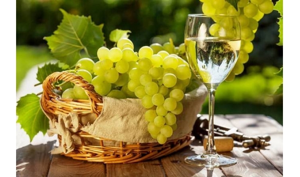 本文为你揭晓法国十大白葡萄品种！
