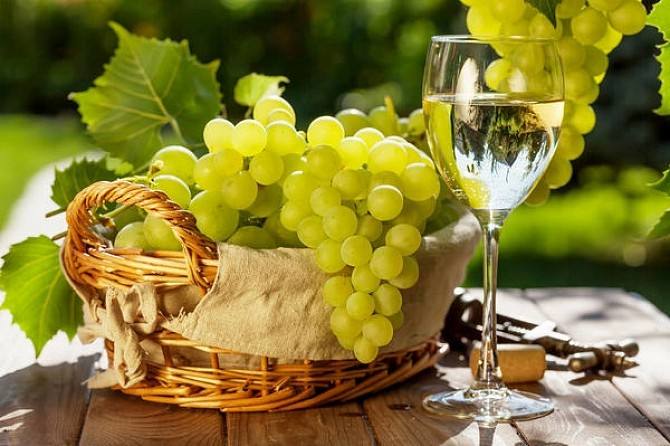 本文为你揭晓法国十大白葡萄品种！