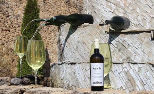 西安红酒代理生意选哪个品牌好?