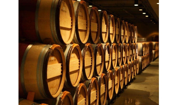 波尔多酒庄2015年份葡萄酒有何特别？