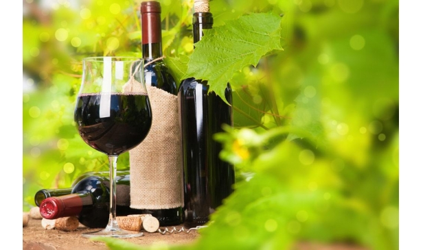 世界十大葡萄品种有哪些酒款推荐？