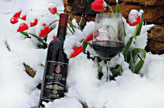 兰州红酒加盟市场前景分析