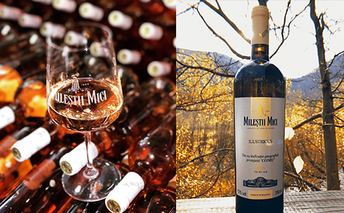 西宁投资红酒加盟代理的市场好不好？