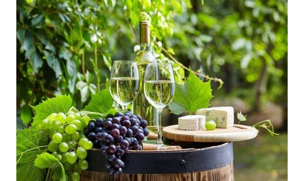 世界十大葡萄酒品牌中最贵的是哪一款？