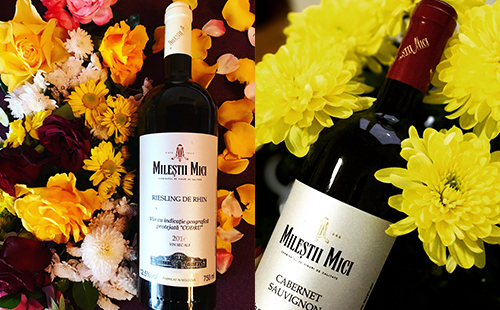 银川市场上适合开红酒加盟店吗？