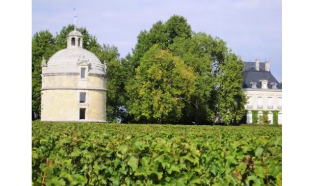 你了解拉图葡萄酒庄园的历史吗？