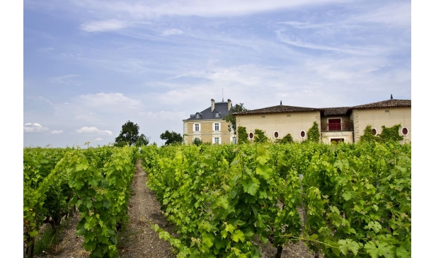 法国红酒排行榜前十名的产区你了解吗？