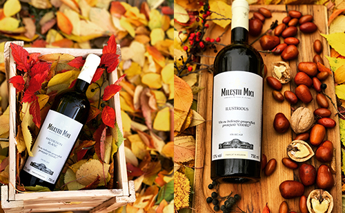 红酒品牌加盟怎么选择品牌