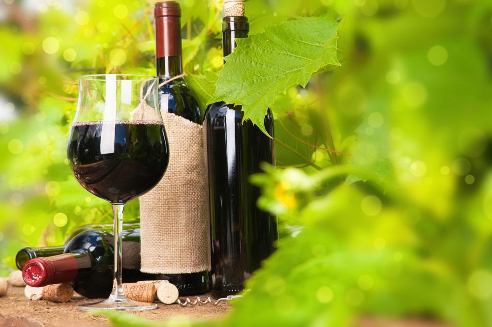 高端葡萄酒与低端葡萄酒本质区别在哪？