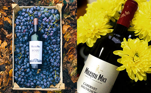 投资摩尔多瓦葡萄酒加盟生意的前景如何？