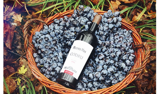 摩尔多瓦原瓶进口葡萄酒的前景好吗？