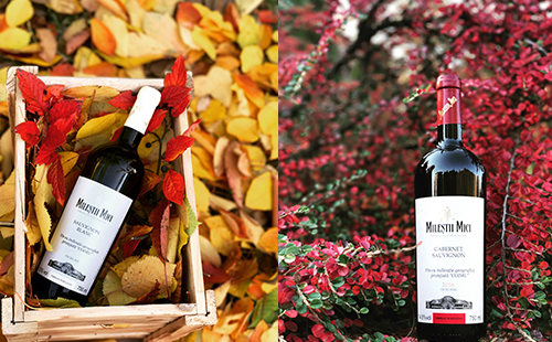 葡萄酒加盟项目生意市场好吗?