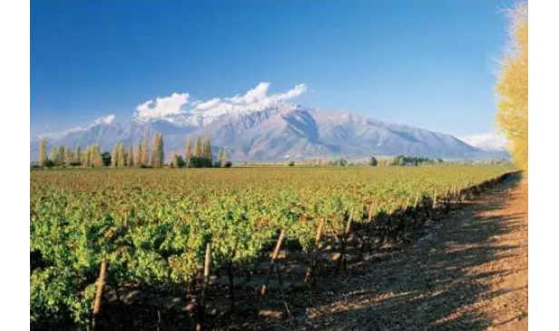 小编带你了解智利最美十大葡萄酒庄！