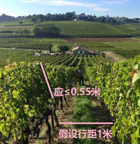 为什么马云要收购这家葡萄酒庄?